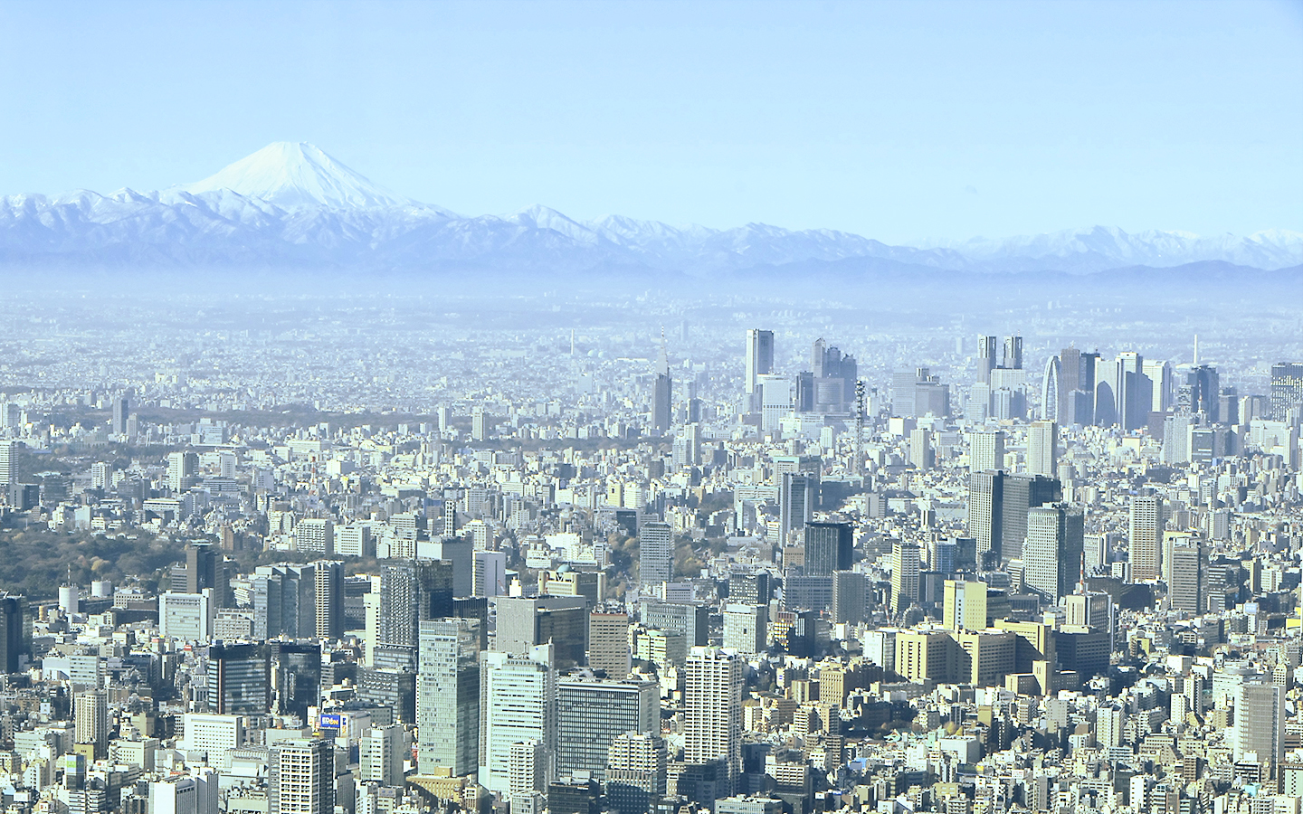 グローバルデザイン株式会社 14年 グロデ富士山企画 富士山 For You