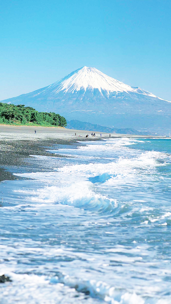 グローバルデザイン株式会社 2014年 グロデ富士山企画 富士山 For You