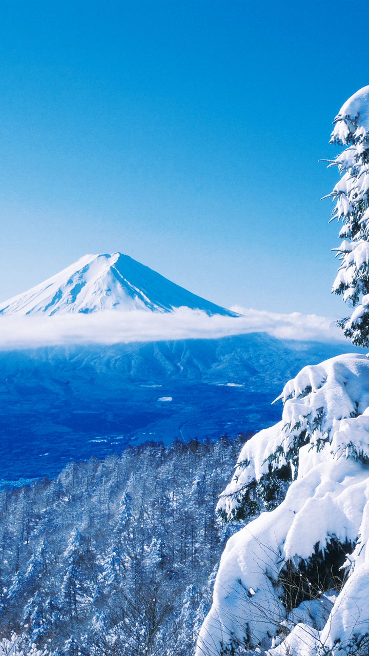 グローバルデザイン株式会社 14年 グロデ富士山企画 富士山 For You