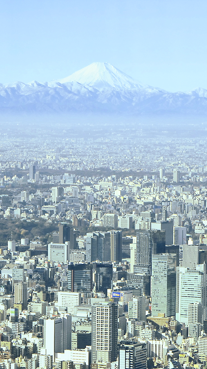 グローバルデザイン株式会社 14年 グロデ富士山企画 富士山 For You