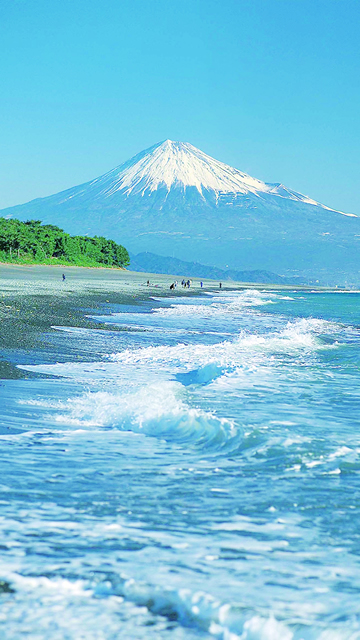 グローバルデザイン株式会社 2014年 グロデ富士山企画 富士山 For You