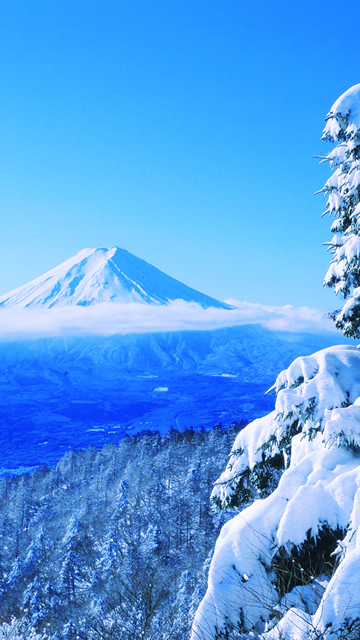 グローバルデザイン株式会社 14年 グロデ富士山企画 富士山 For You